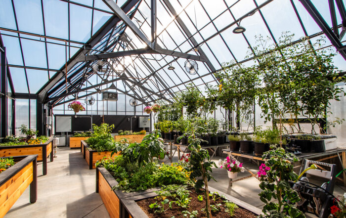 Copilot said: Interior of the Rangeview community greenhouse filled with lush vegetables and growing produce, showcasing the garden-to-table lifestyle at the heart of Calgary's first garden-to-table community.